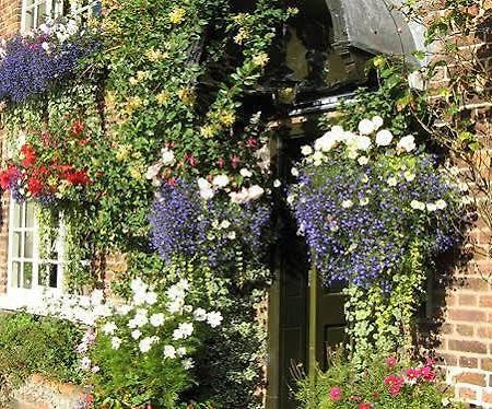 The Alvanley Arms - Inn Cotebrook Ngoại thất bức ảnh